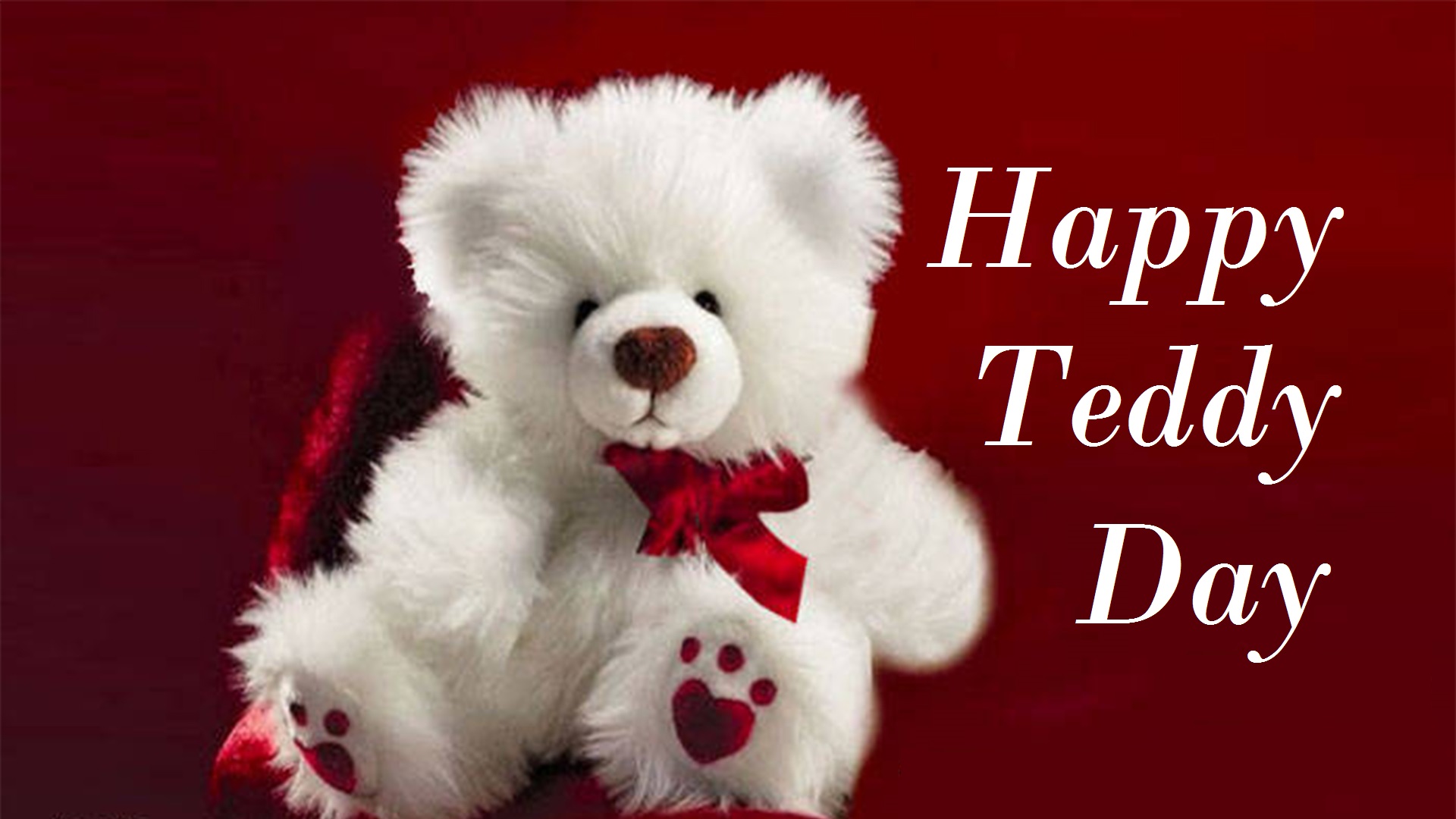 Happy Teddy Day Images - White Teddy Bear With Roses - HD Wallpaper 
