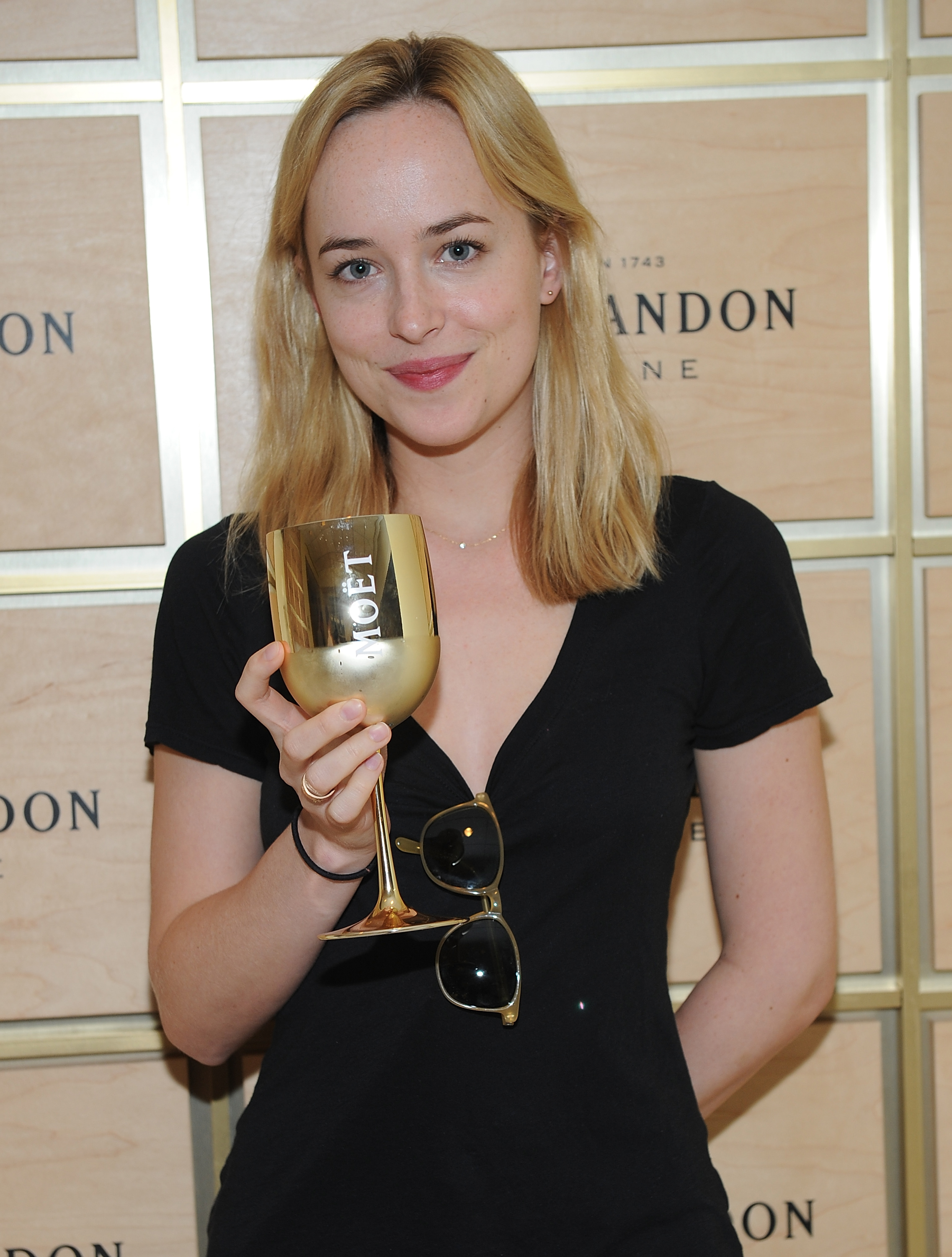 El James Dakota Johnson - HD Wallpaper 