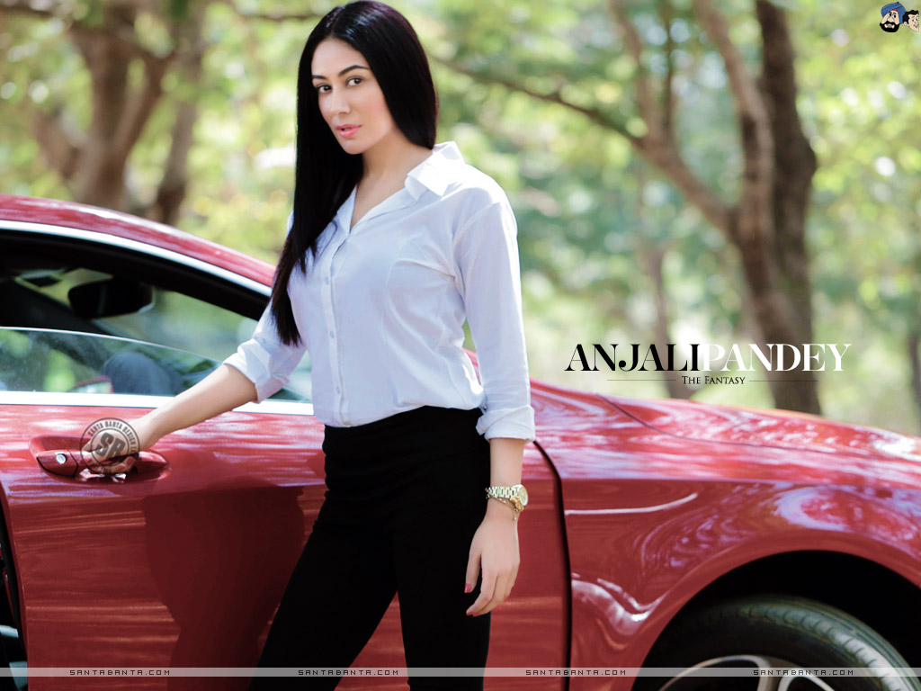 Anjali Pandey Hot - HD Wallpaper 