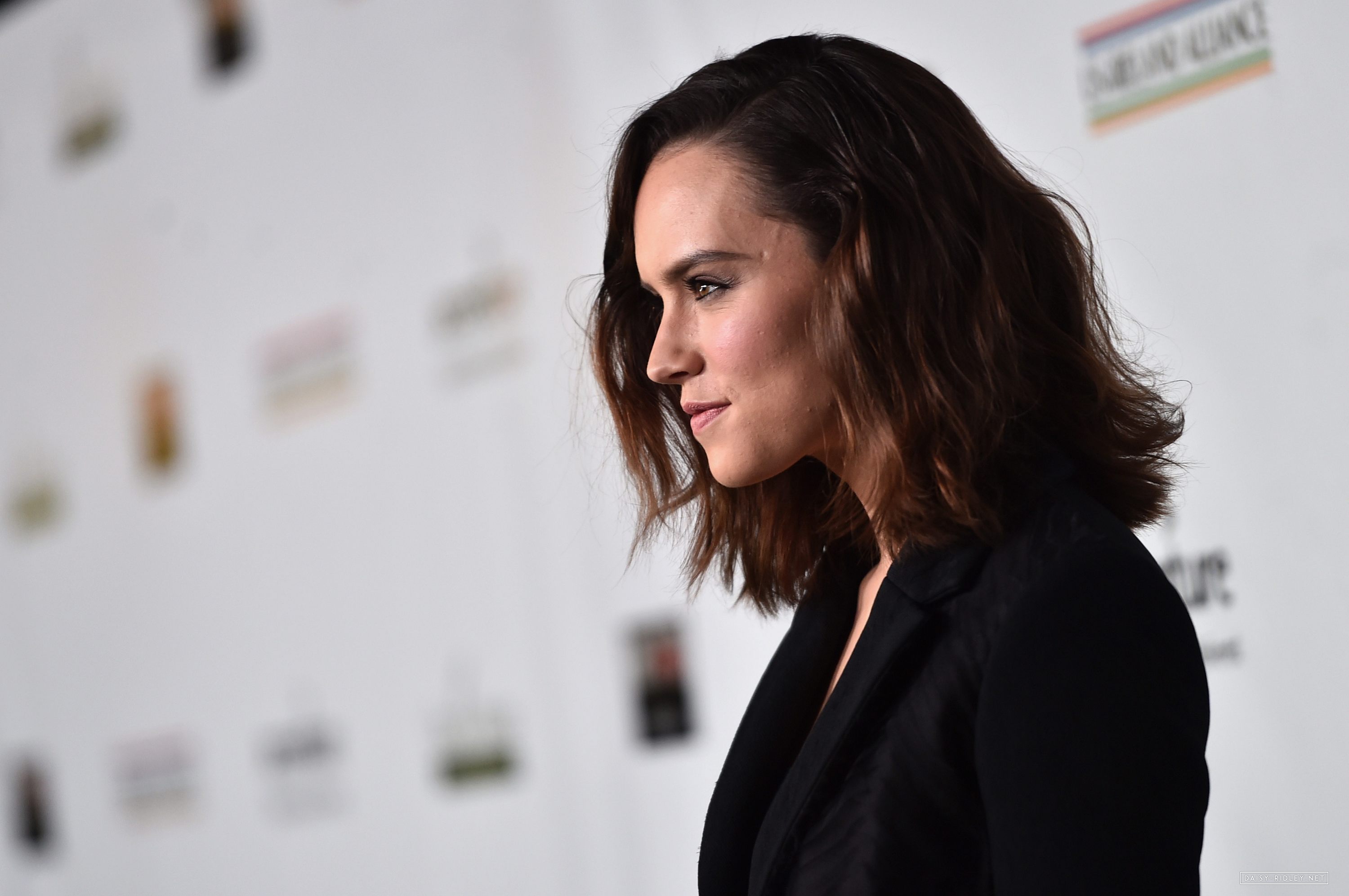 Daisy Ridley High Resolution - HD Wallpaper 