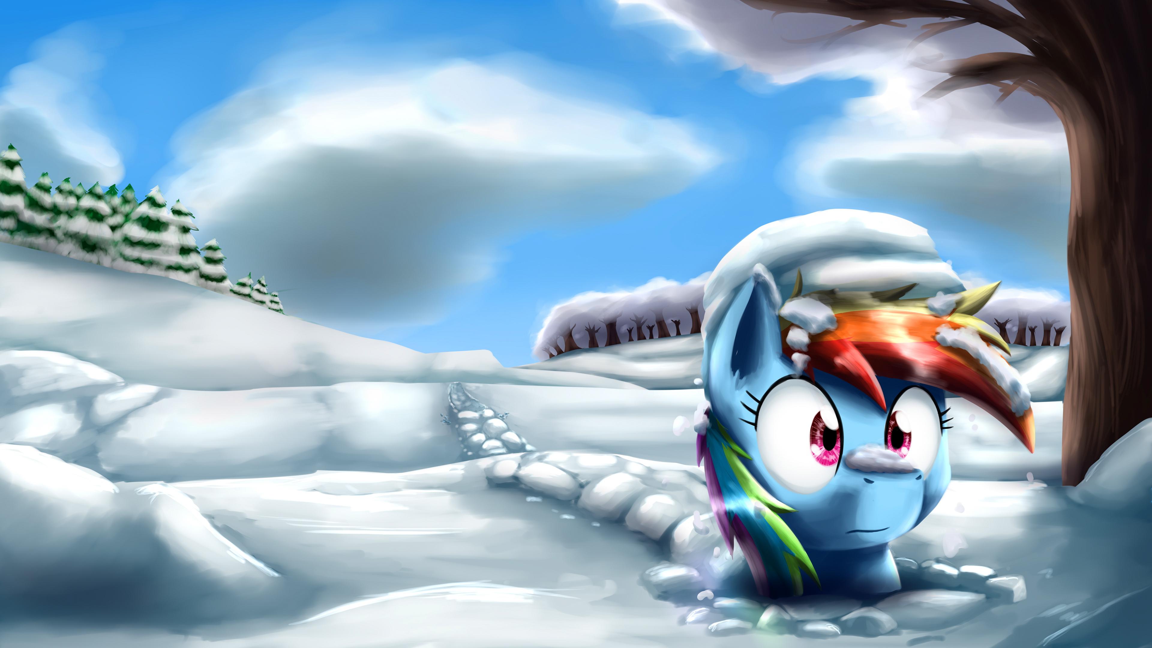 Hd Dashie Confused Wallpaper - Dashing Through The Rainbow - HD Wallpaper 