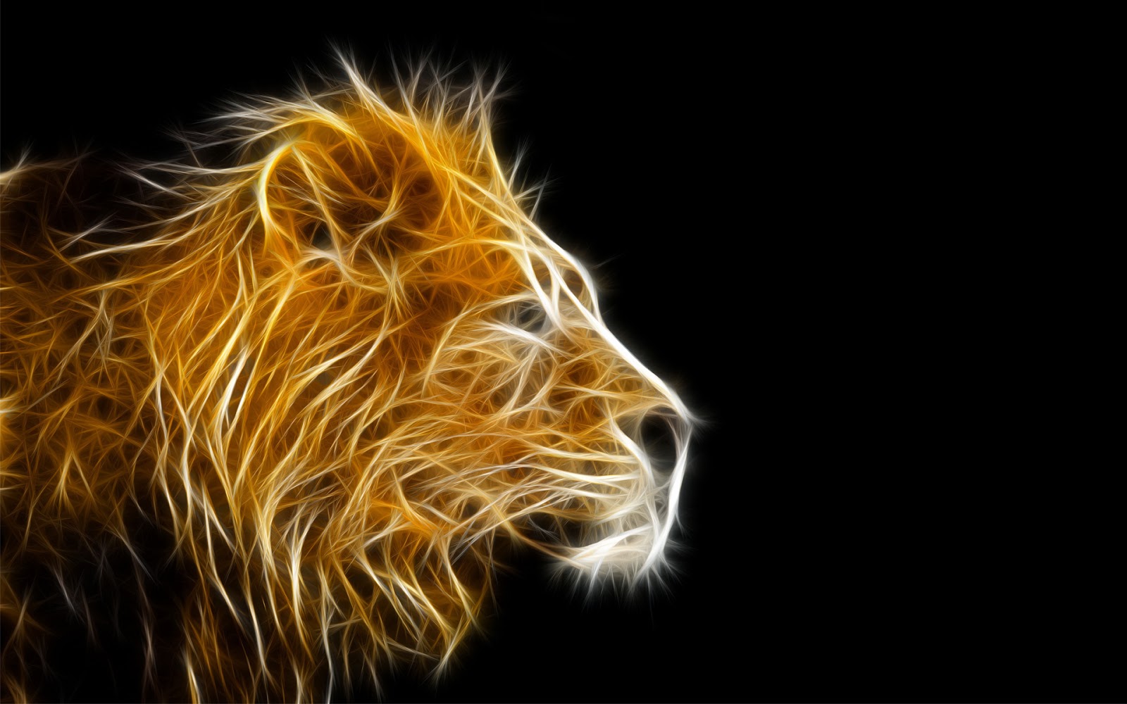 3d Wallpaper Lion - HD Wallpaper 