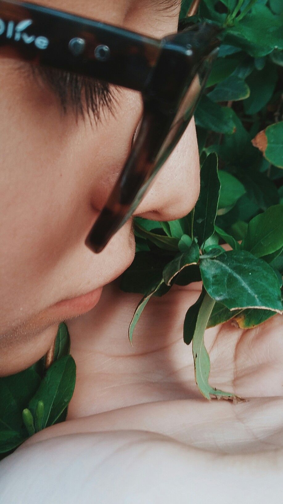 Con Fondo De Plantas - HD Wallpaper 