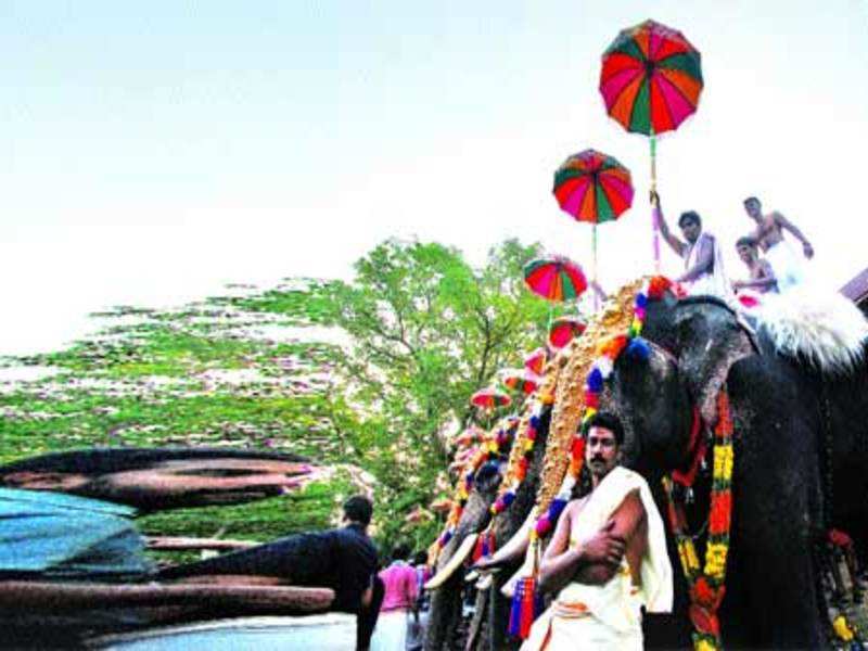 Not Just Any Elephant Can Take Part In Thrissur Pooram - Tradition - HD Wallpaper 