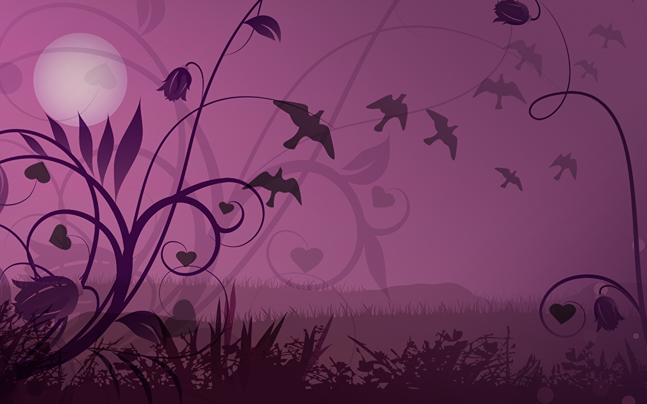 Love Birds - HD Wallpaper 