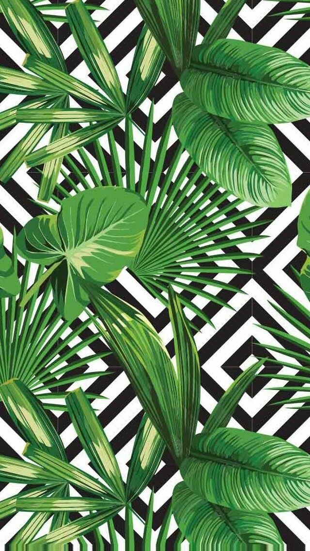 Wallpaper, Background, And Green Image - Palms Over Diamonds - HD Wallpaper 