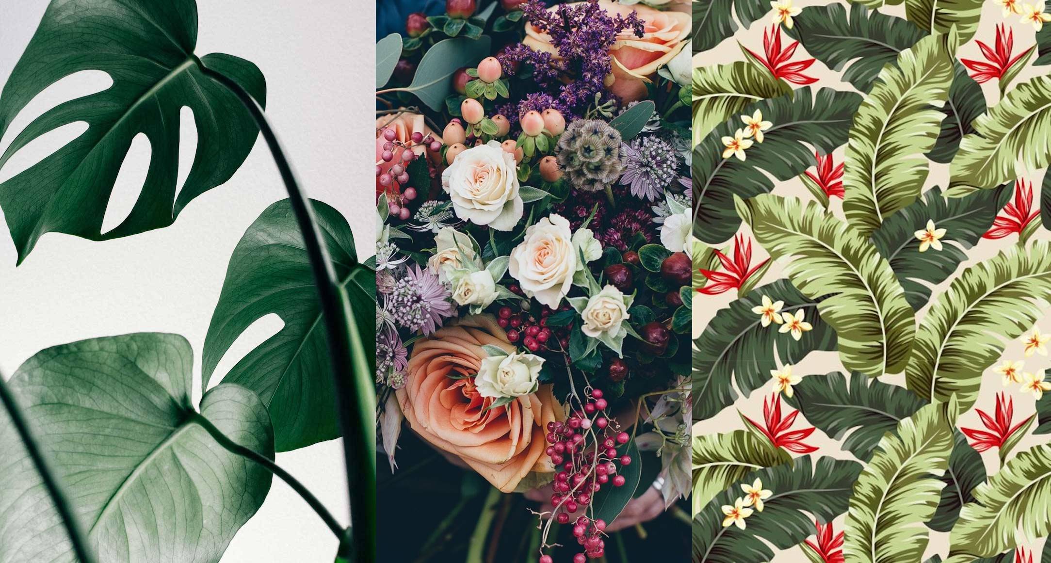 Lindas Imagens Para O Seu Smartphone - Free Printables Wall Art Leaves - HD Wallpaper 