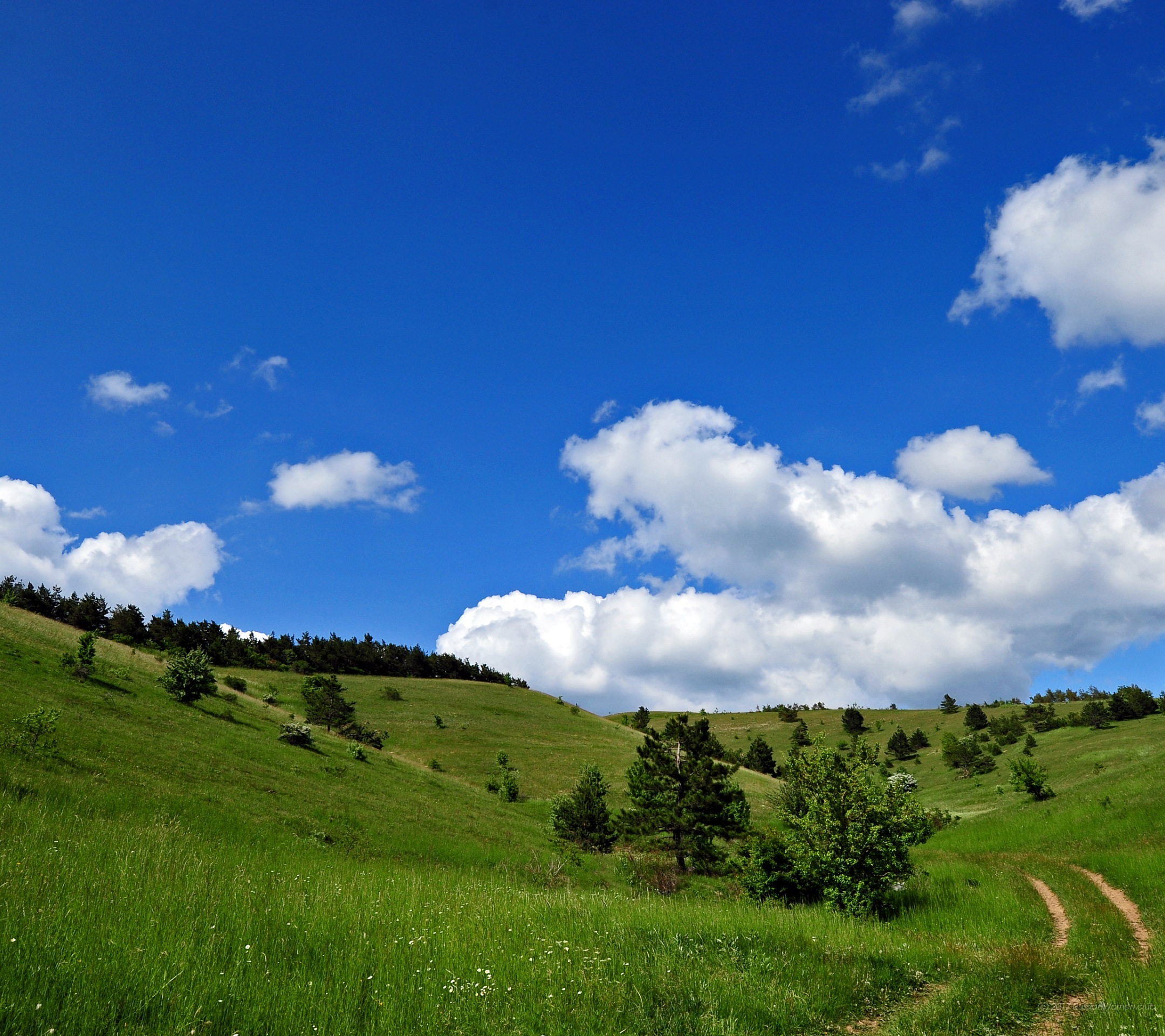 Infocus Epic - Fond D Ecran De Infinix - HD Wallpaper 