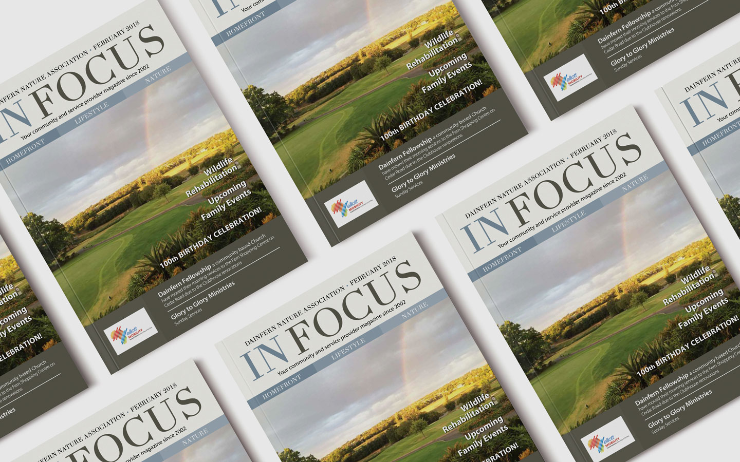 Infocus Your Community Magazine Dainfern Nature Association - Grass - HD Wallpaper 