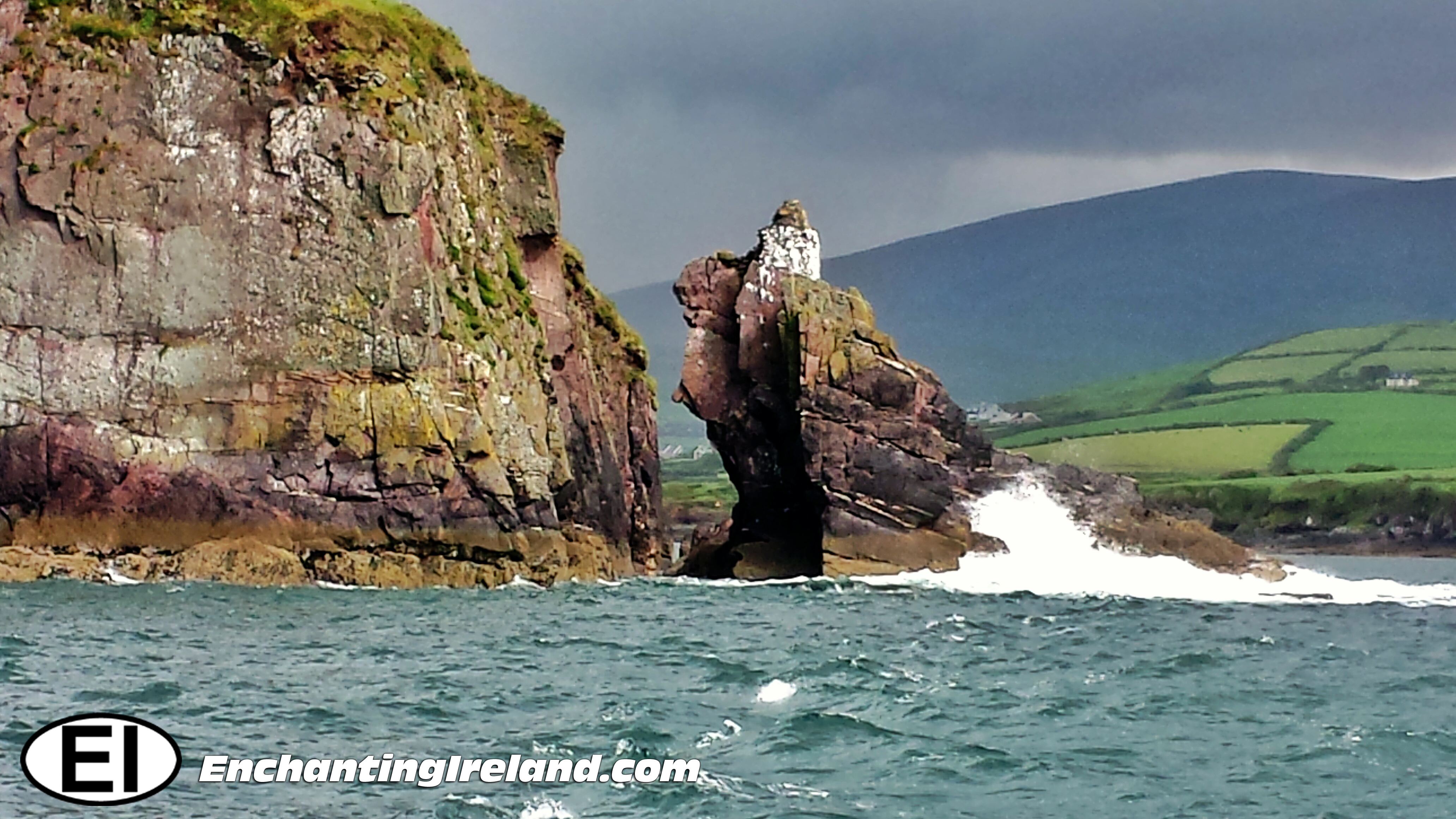 Dingle Harbor Cruise, Ireland - Dingle Harbor Ireland - HD Wallpaper 