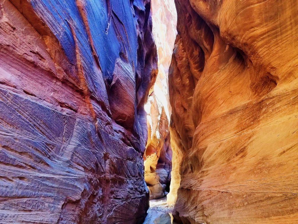 Buckskin Gulch Vermilion Cliffs National Monument Oc - Narrows - HD Wallpaper 