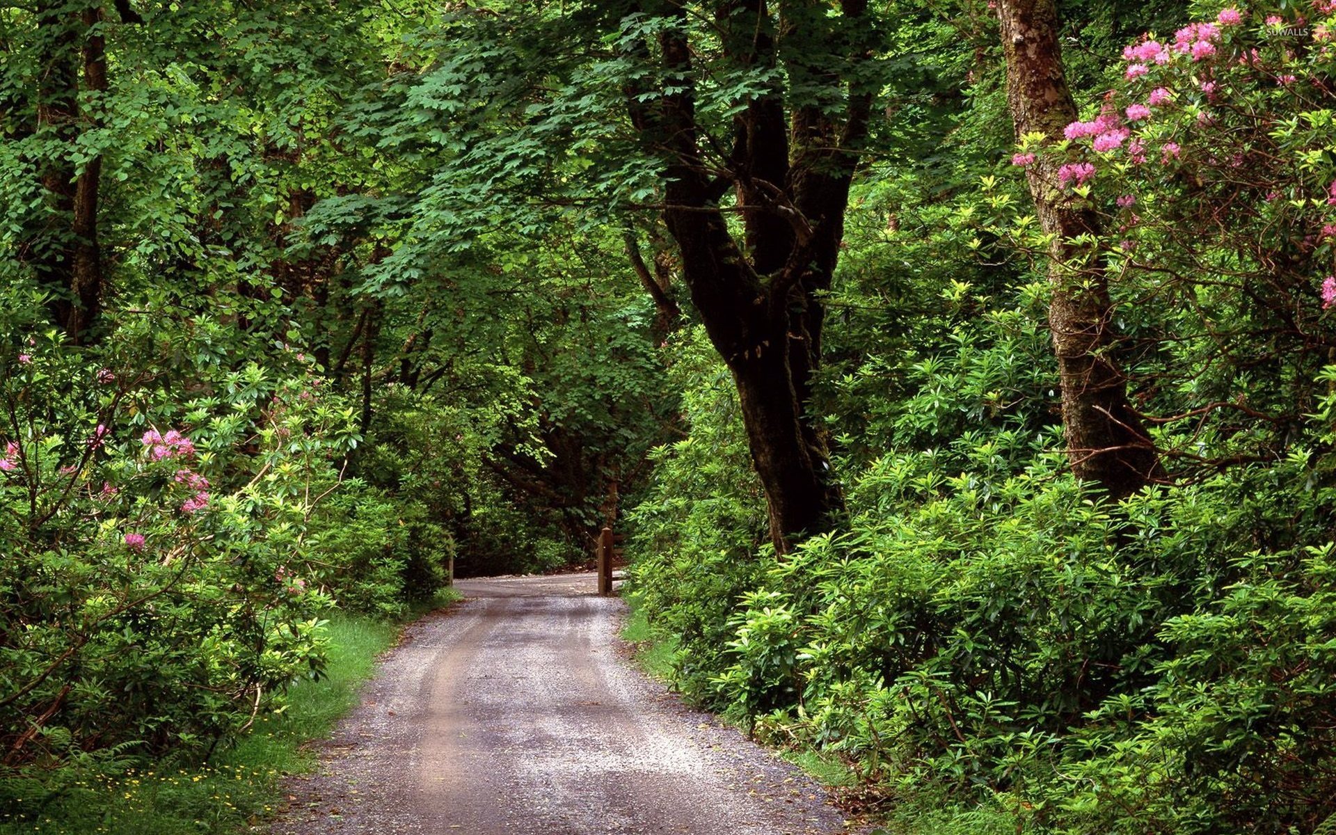 Road Normal Background Hd - HD Wallpaper 