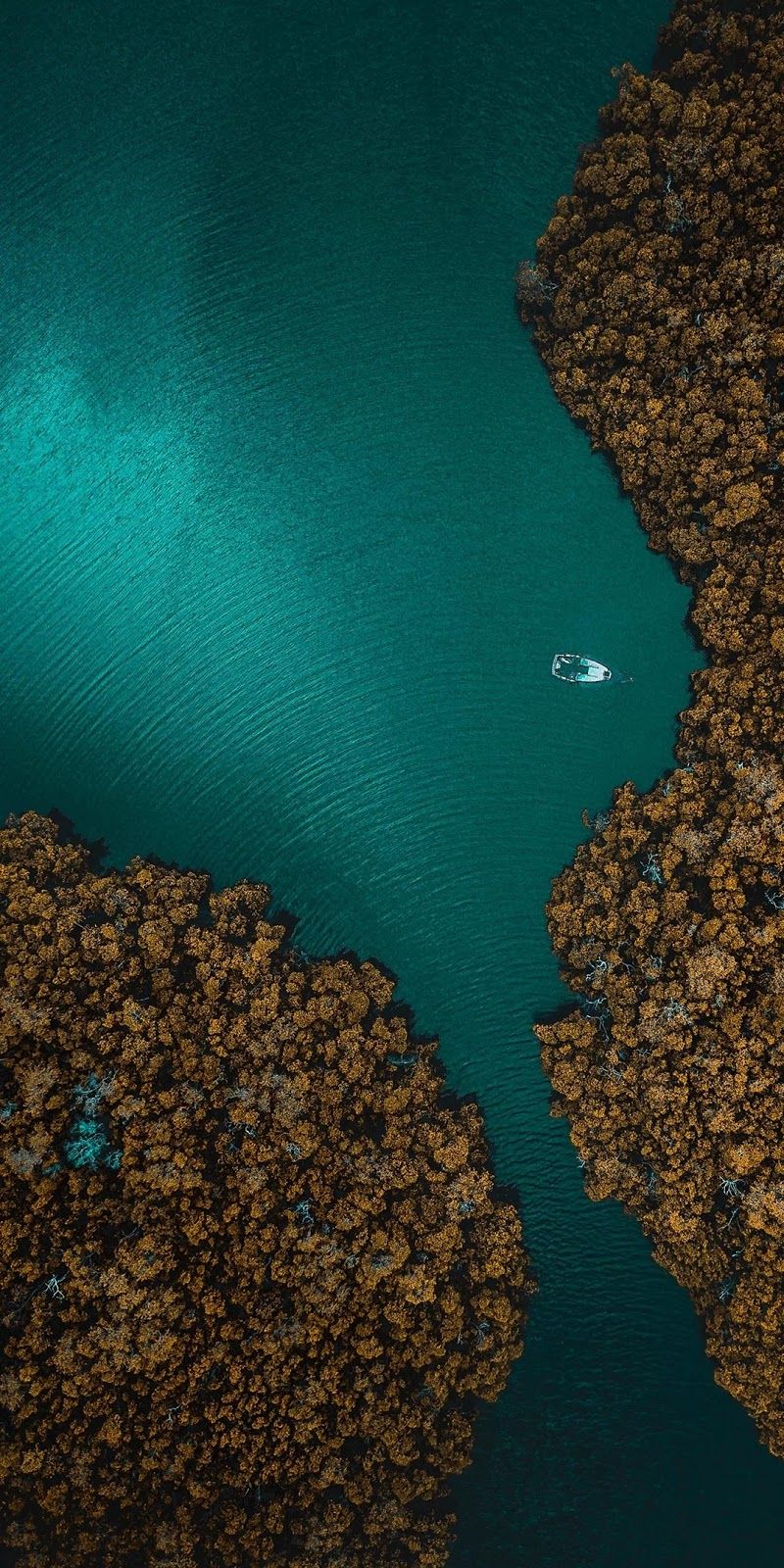 Marco Island United States - HD Wallpaper 