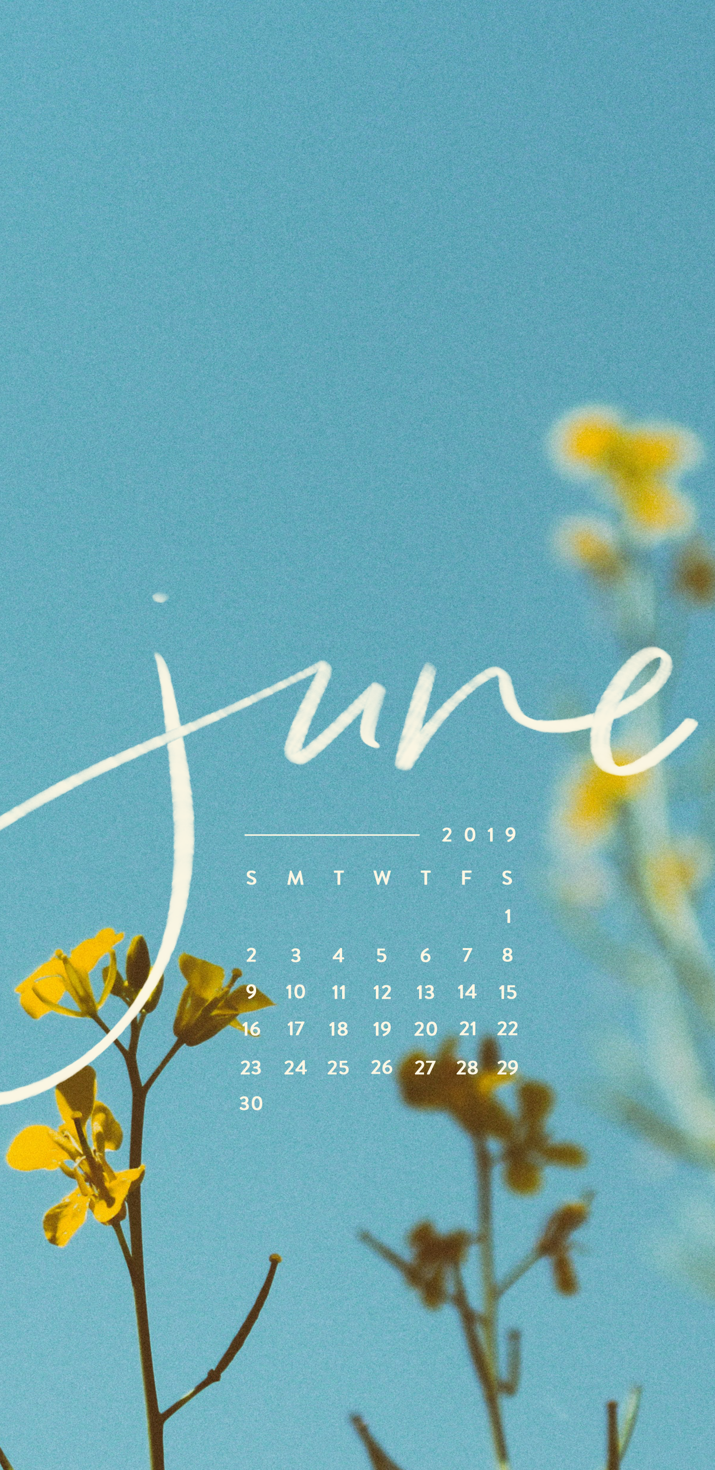 June 2019 Desktop Calendar - HD Wallpaper 