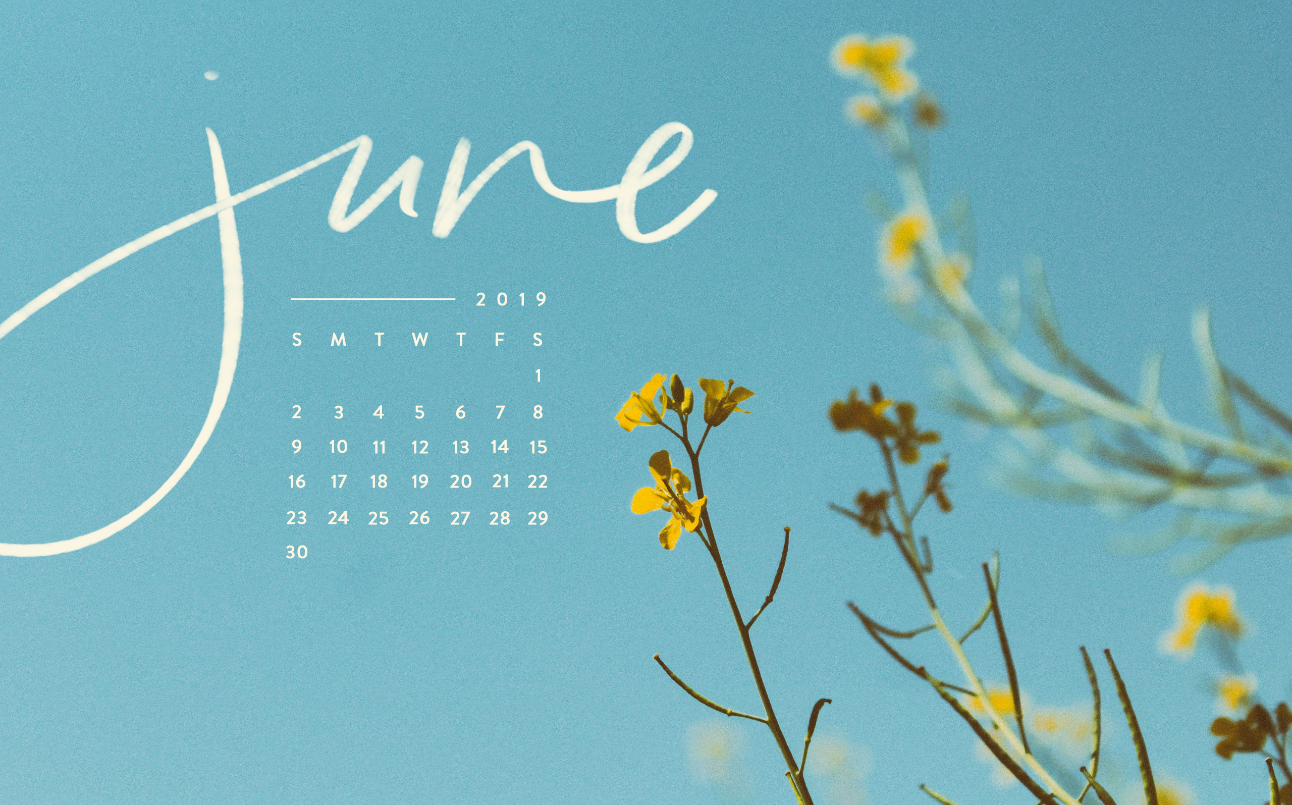 June 2019 Desktop Calendar - HD Wallpaper 