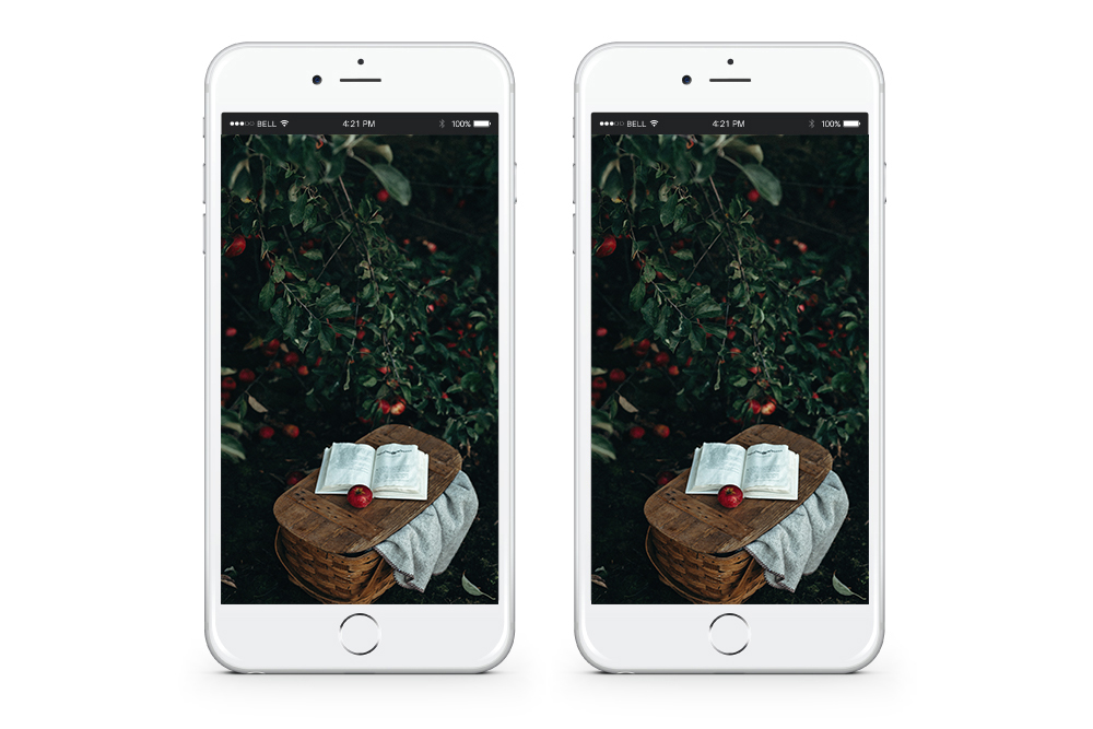 Apple Tree September Iphone Desktop Wallpaper - Iphone - HD Wallpaper 