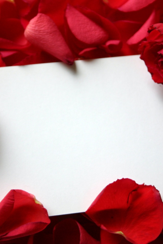 Want A Gentleman In My Life - HD Wallpaper 