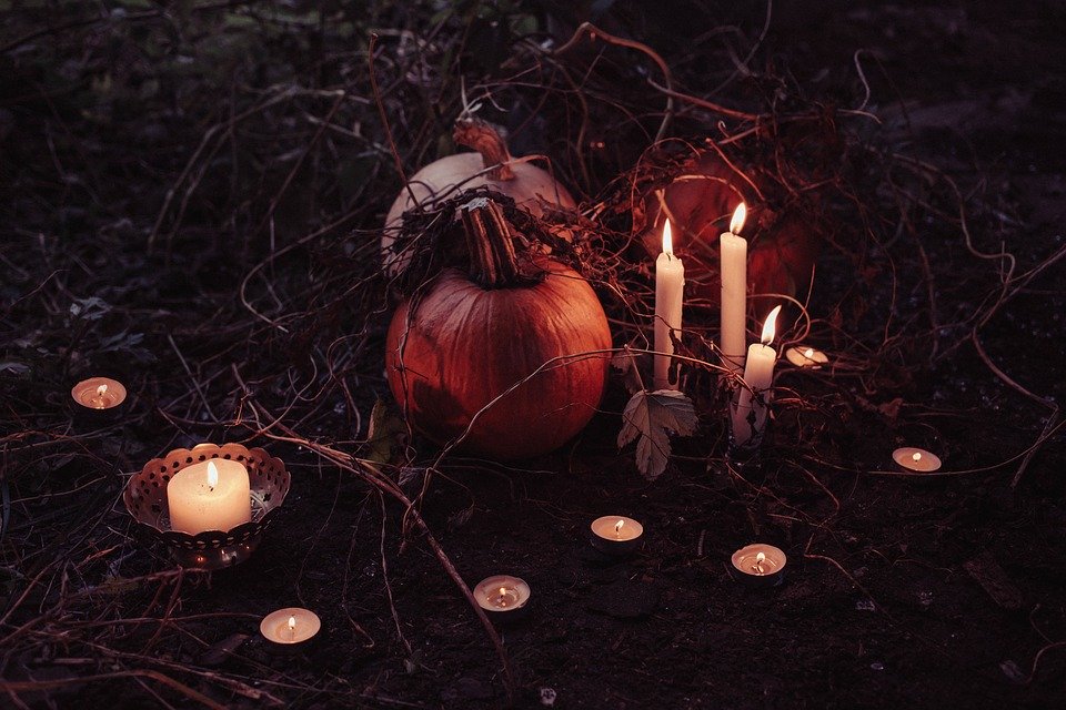 Samhain Woods - HD Wallpaper 