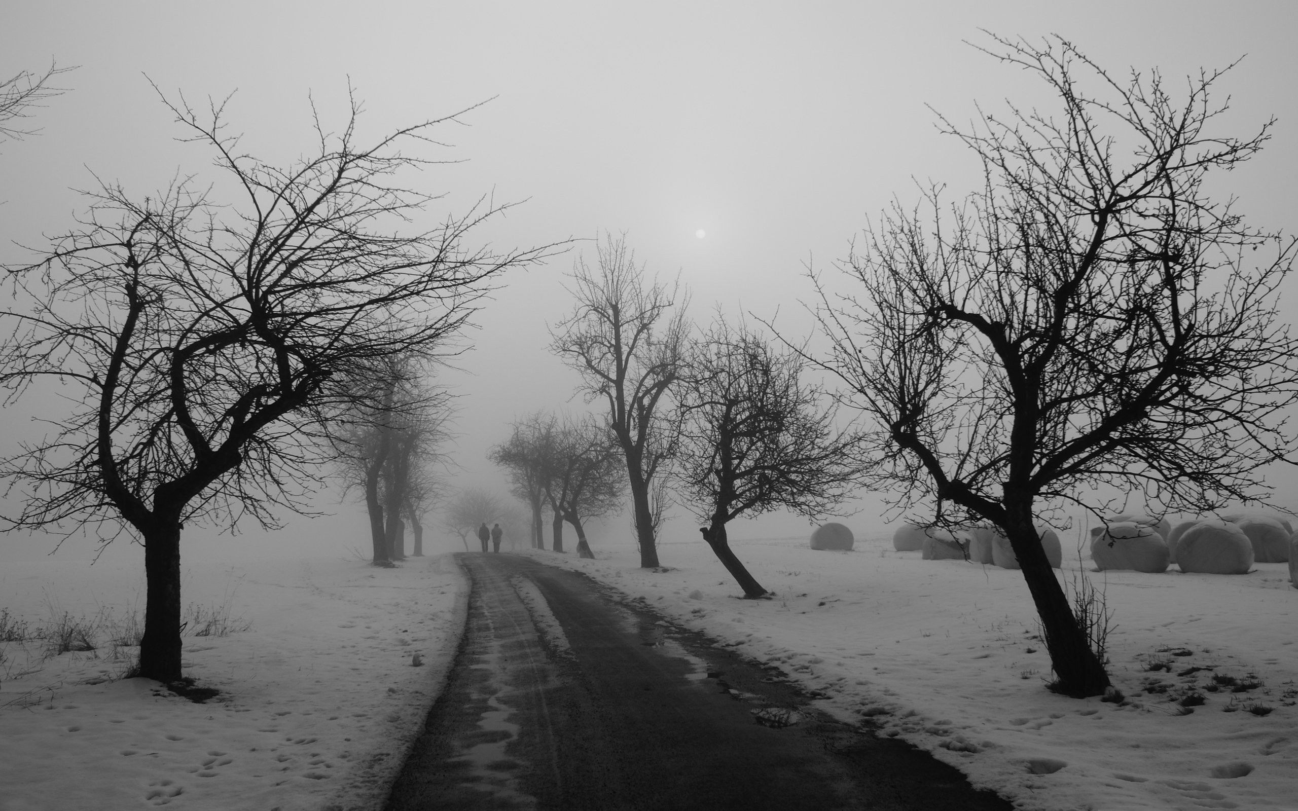 Winter Black And White - HD Wallpaper 
