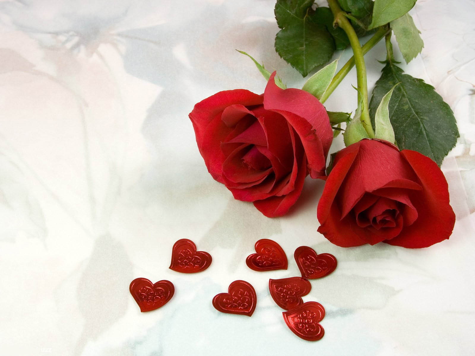 Love Rose Images Free Download By Johnathan Haber - 1600x1200 Wallpaper - Love Rose Images Free Download By Johnathan Haber - 1600x1200 Wallpaper -