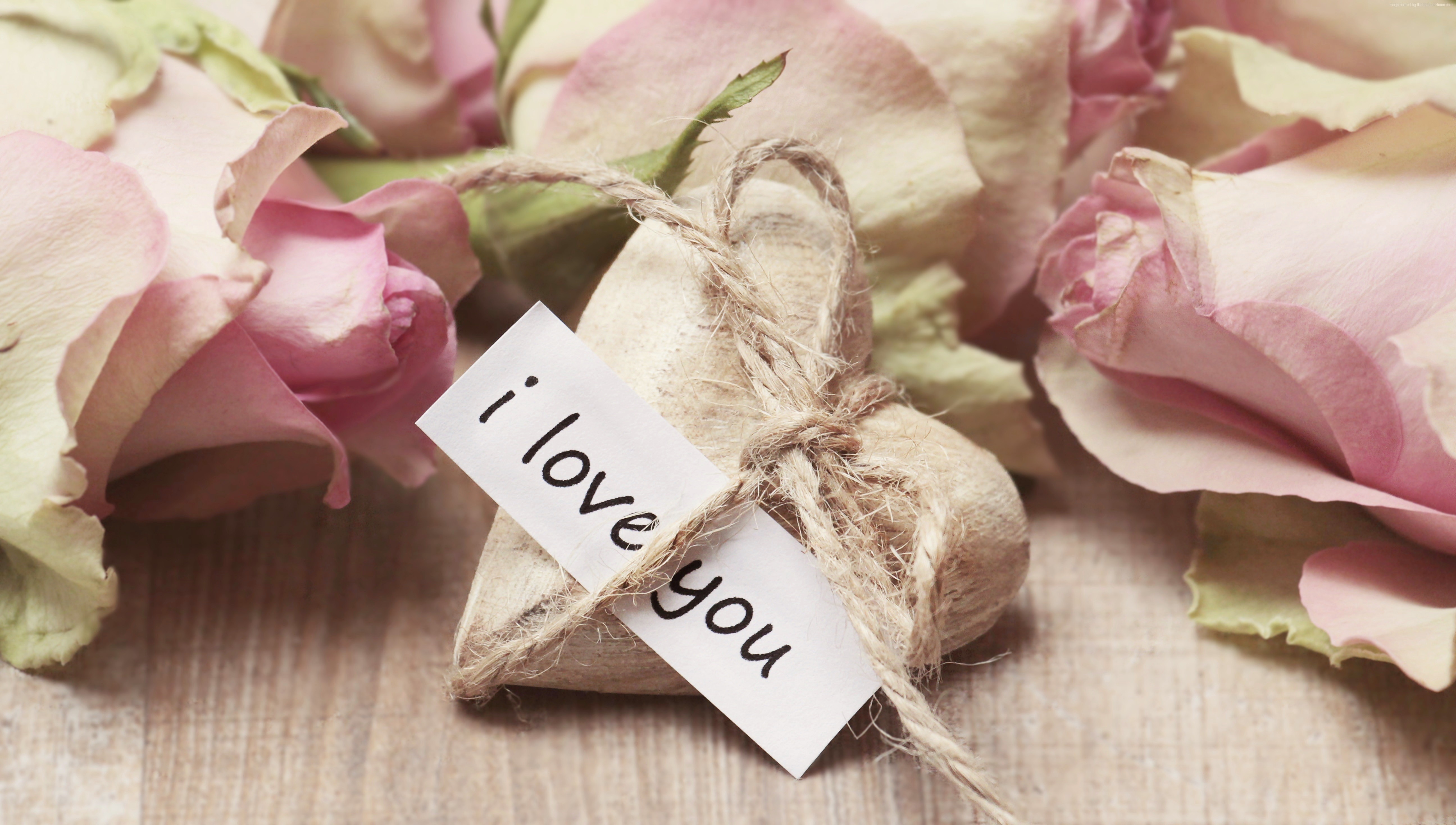 Love Hd Flower Wallpapers 1080p - HD Wallpaper 