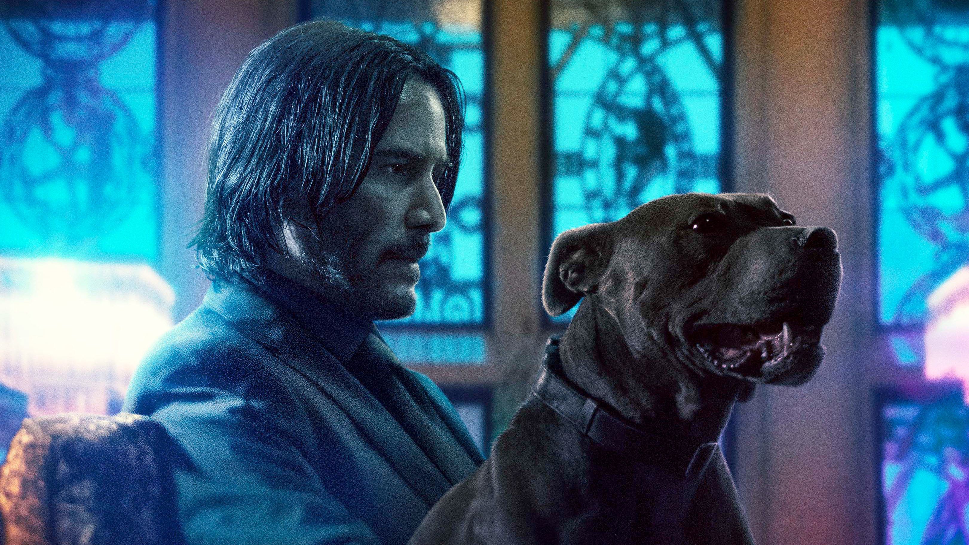 John Wick 3 Wallpapers 4k - HD Wallpaper 