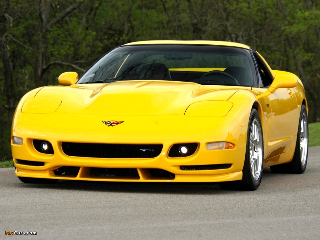 Corvette Z06 White Shark Concept 2002 Wallpapers (1024 - Corvette Zo6 Tiger Shark - HD Wallpaper 