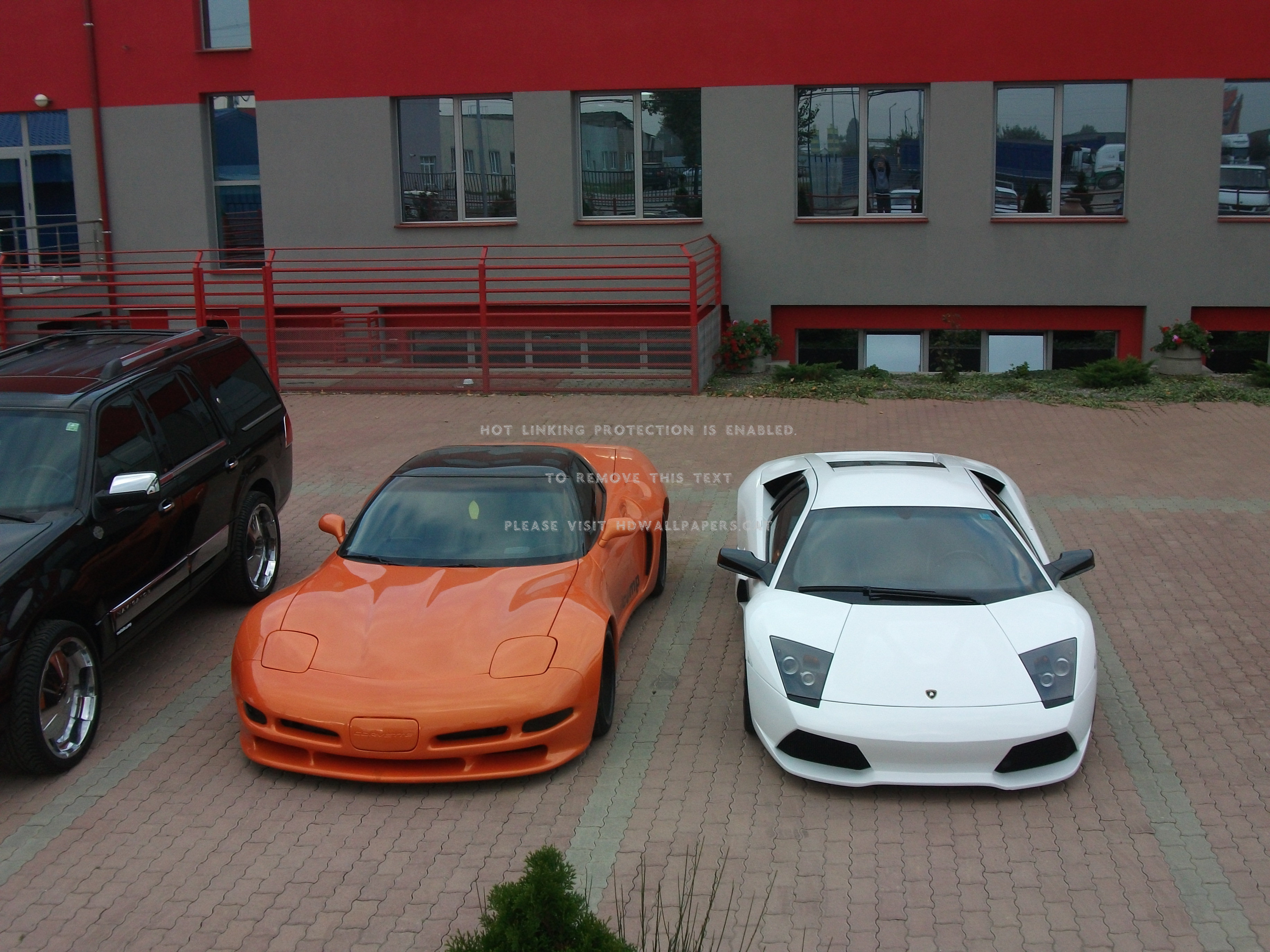 Murcielago Lp640 & Corvette C5 Tuning Evo - Lamborghini Murciélago - HD Wallpaper 