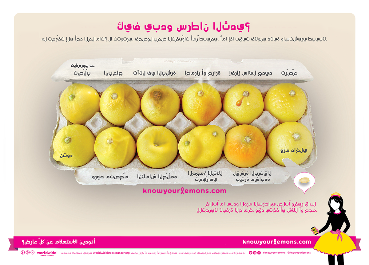 Know Your Lemons - HD Wallpaper 