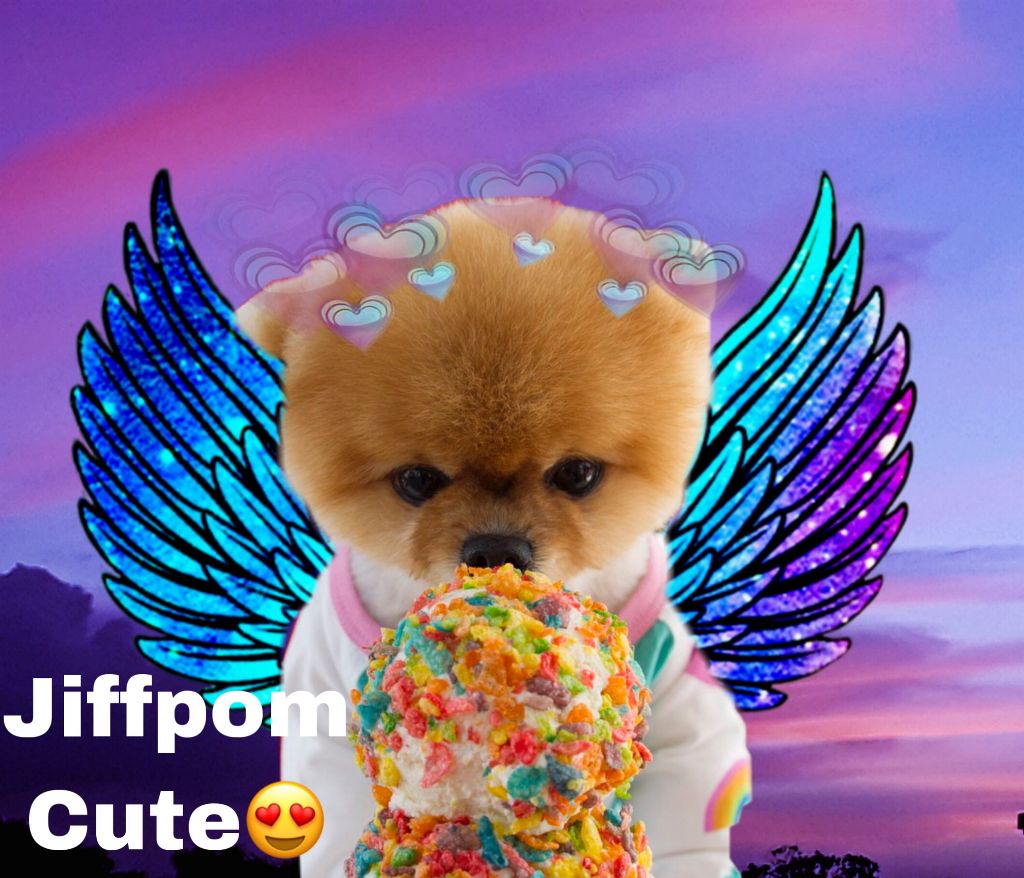 #jiffpom #cute😍 Folow Me On Tiktok - HD Wallpaper 