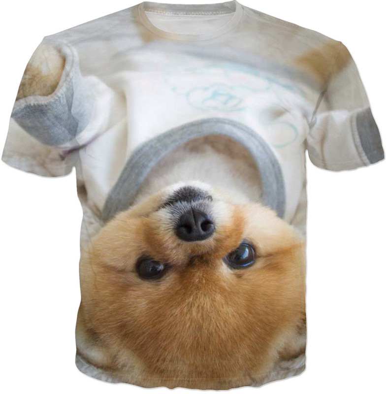 Jiffpom Merch - HD Wallpaper 