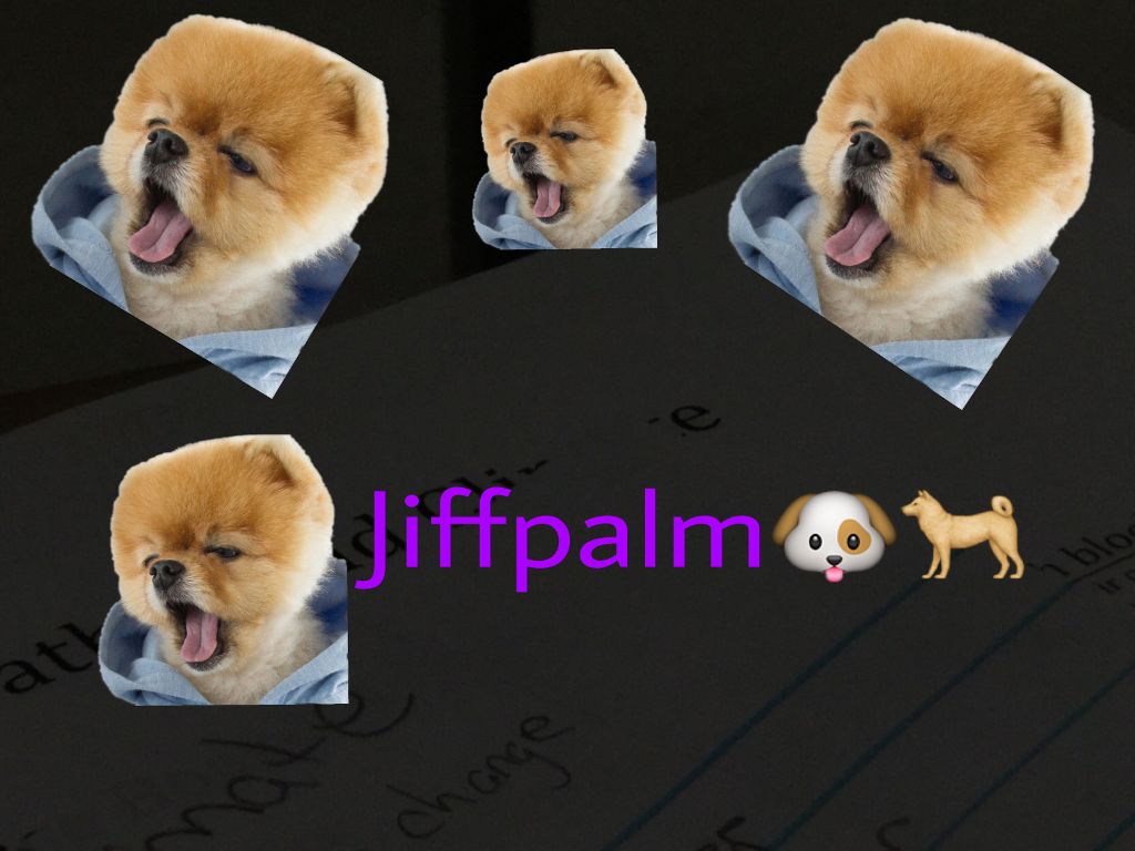 #freetoedit #jiffpom #dog - Companion Dog - HD Wallpaper 