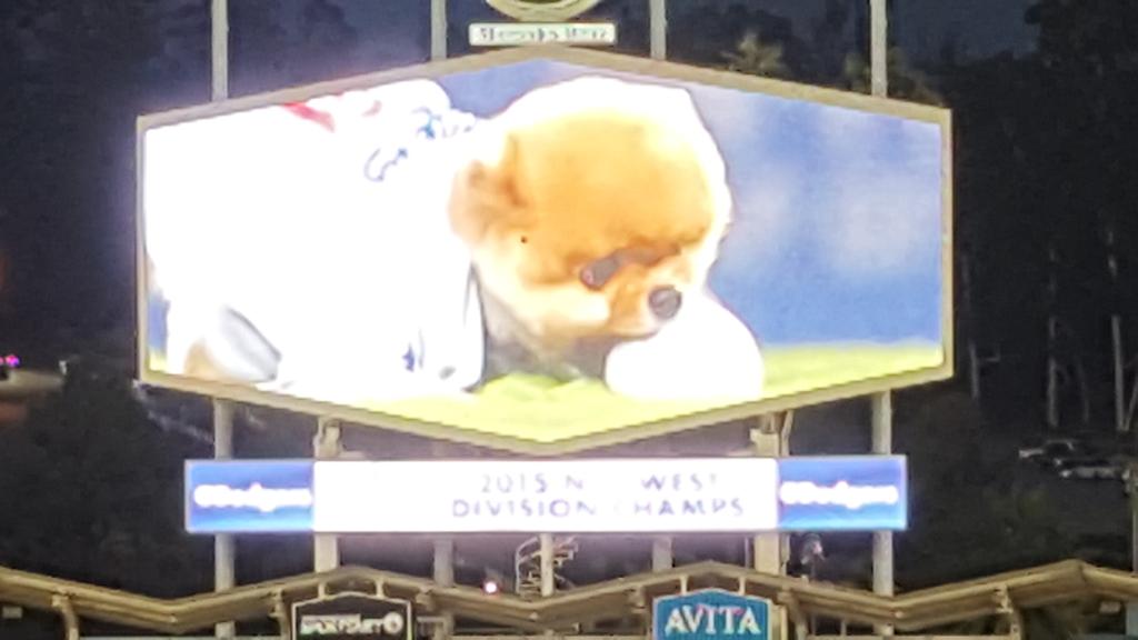 Billboard - HD Wallpaper 