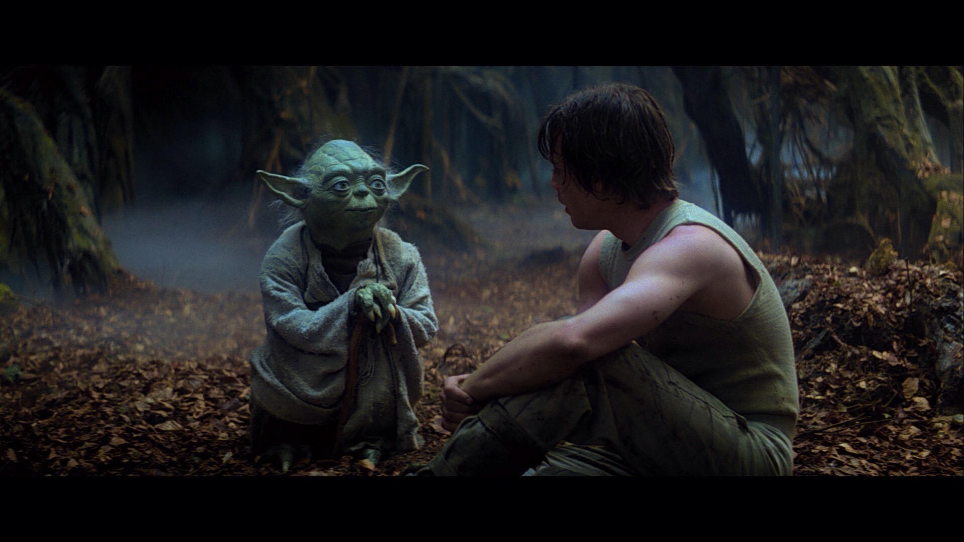 Star Wars Episode V The Empire Strikes Back Yoda - HD Wallpaper 