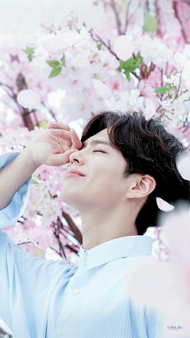 Iphone Cute Park Bo Gum - HD Wallpaper 