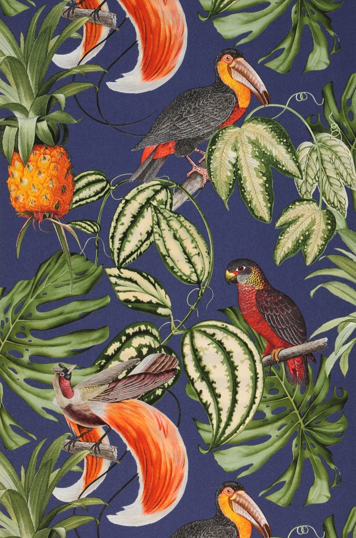 Papier Peint Oiseaux Jungle - HD Wallpaper 
