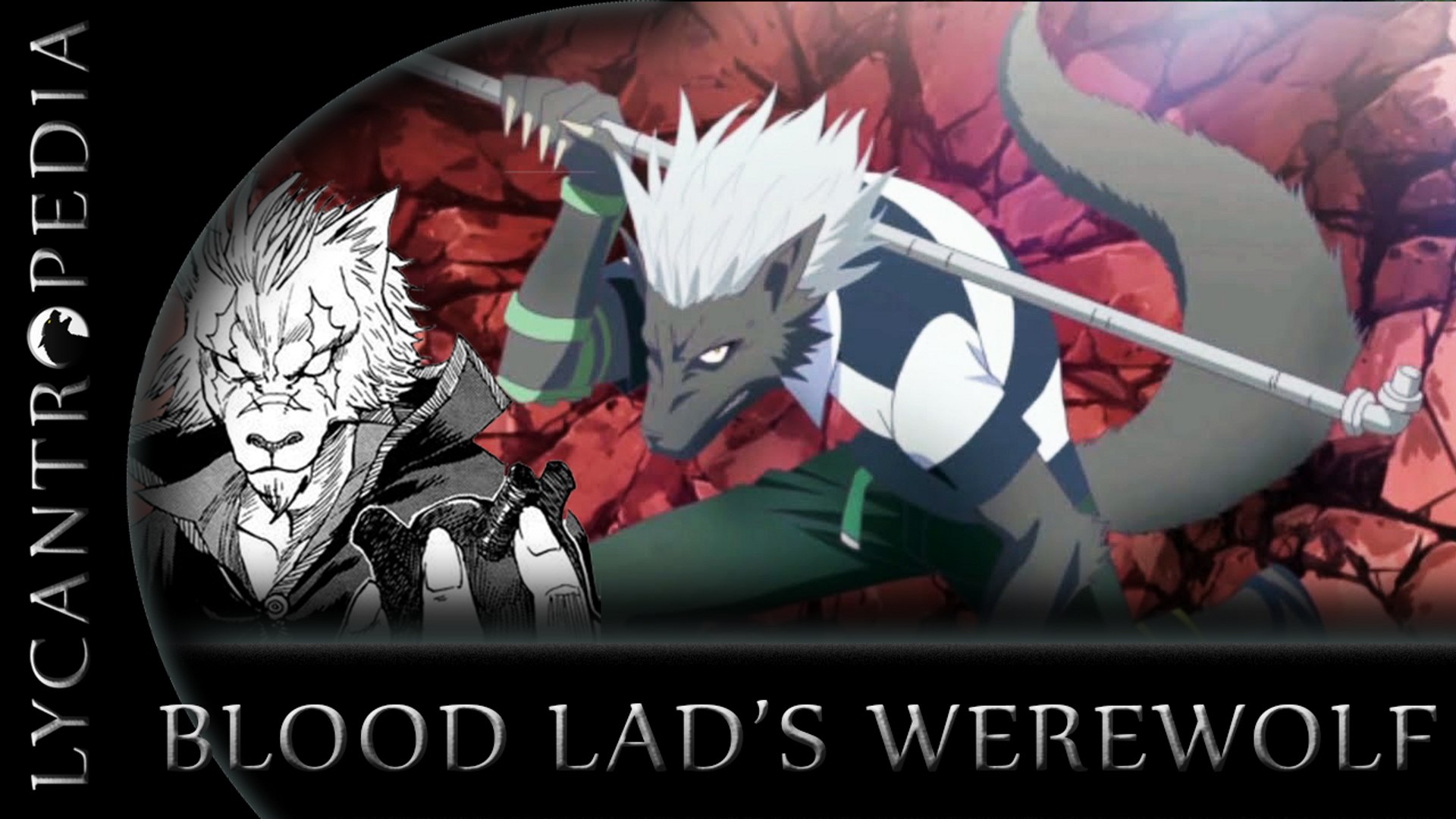 Blood Lad Werewolf - HD Wallpaper 