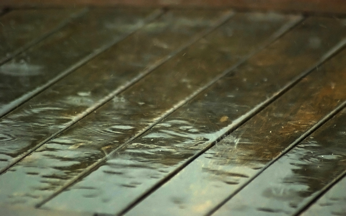 Rain On Wood 1440x900 Wallpaper teahub.io