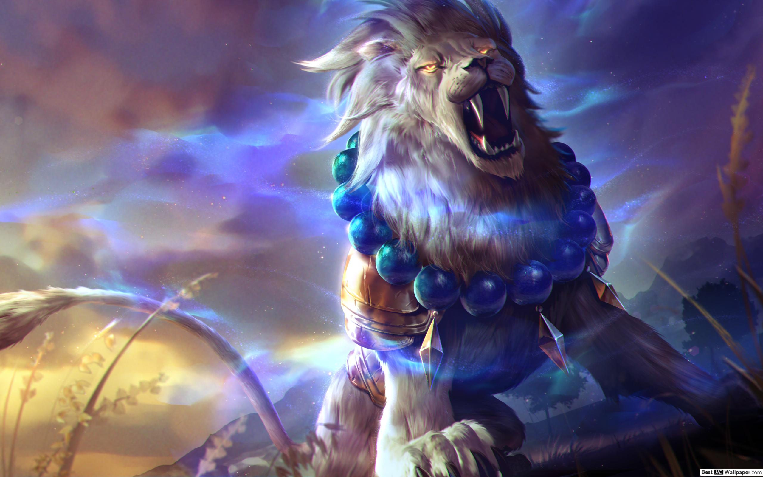 Lion Images Hd 1080p - HD Wallpaper 