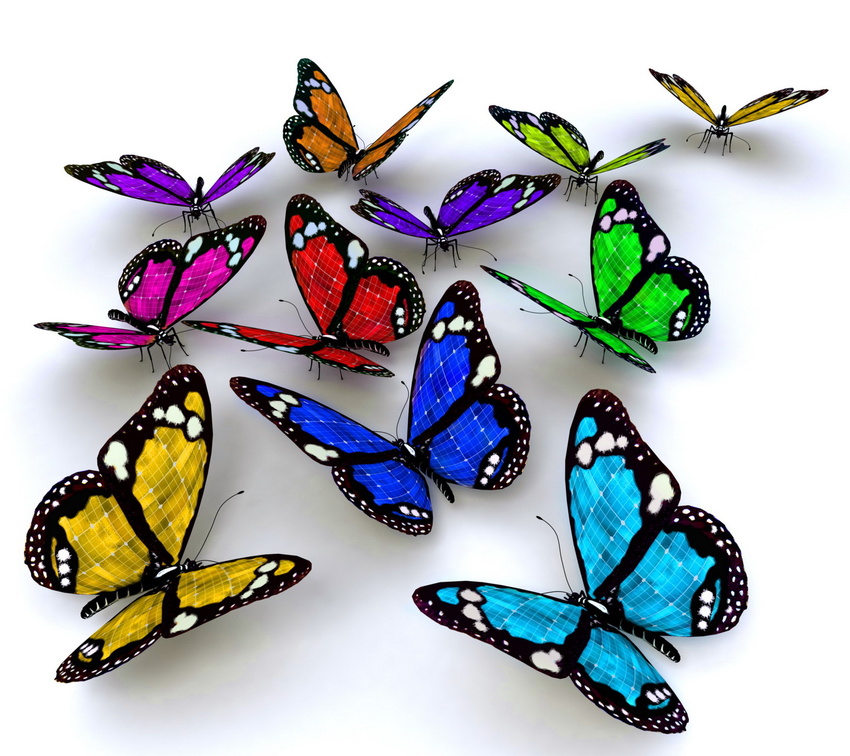 Transparent Transparent Background Butterflies - HD Wallpaper 