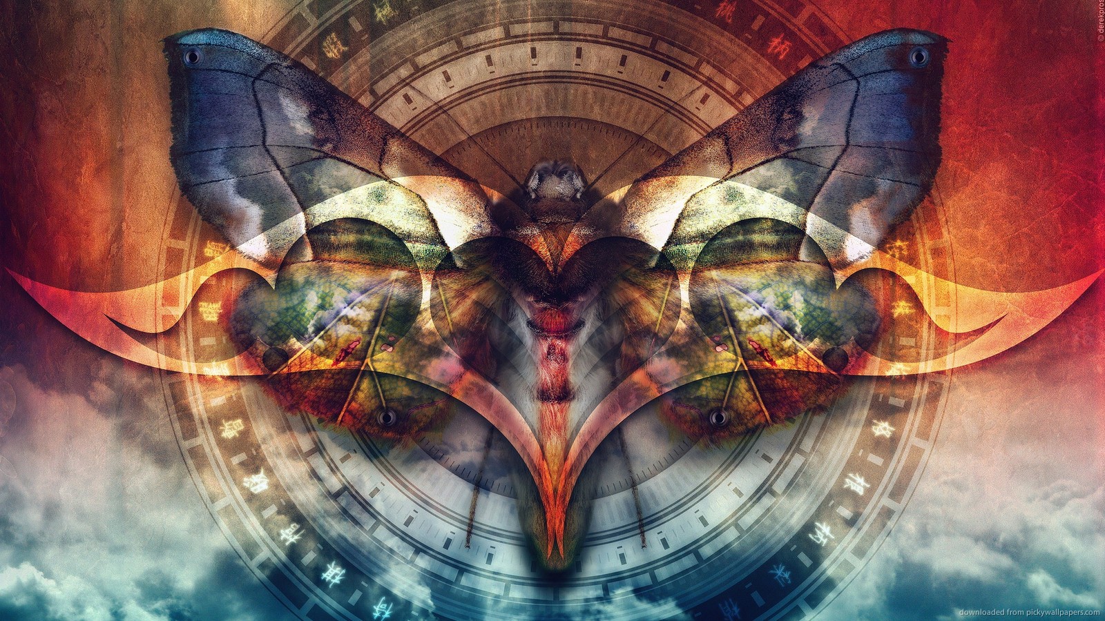 Download Butterfly Art Wallpaper - Moth Wallpaper Hd - HD Wallpaper 
