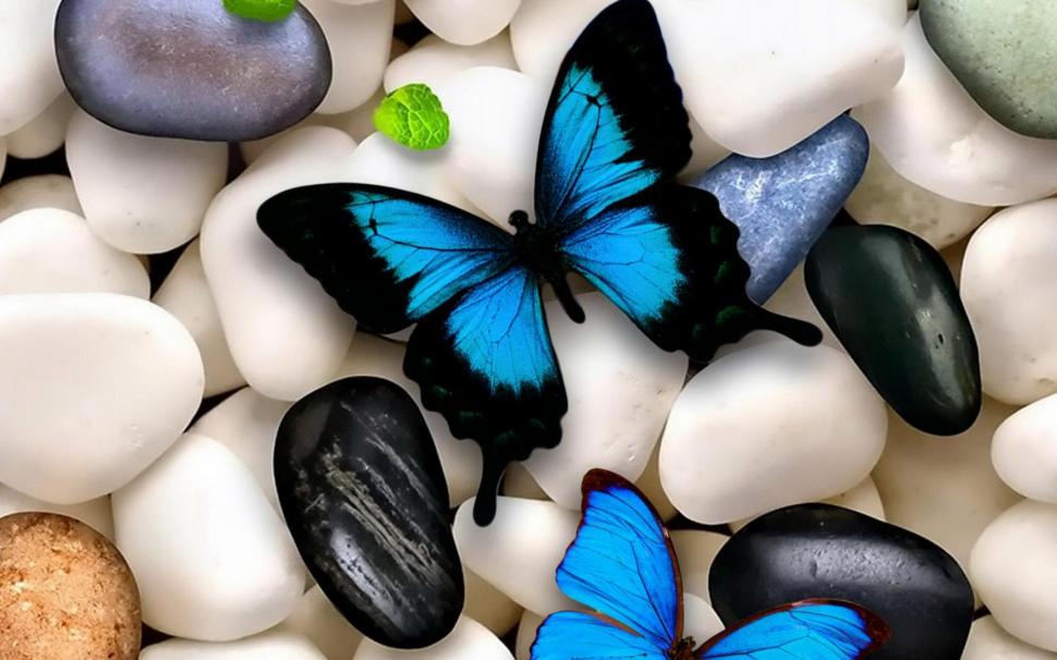 Beautiful Butterflies Wallpaper,beautiful Hd Wallpaper,butterflies - HD Wallpaper 