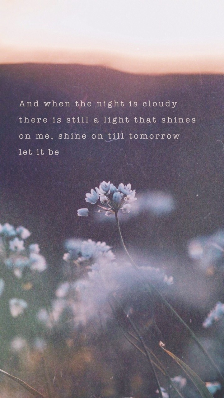 Image - You Re In A Dark Place Bloom - HD Wallpaper 