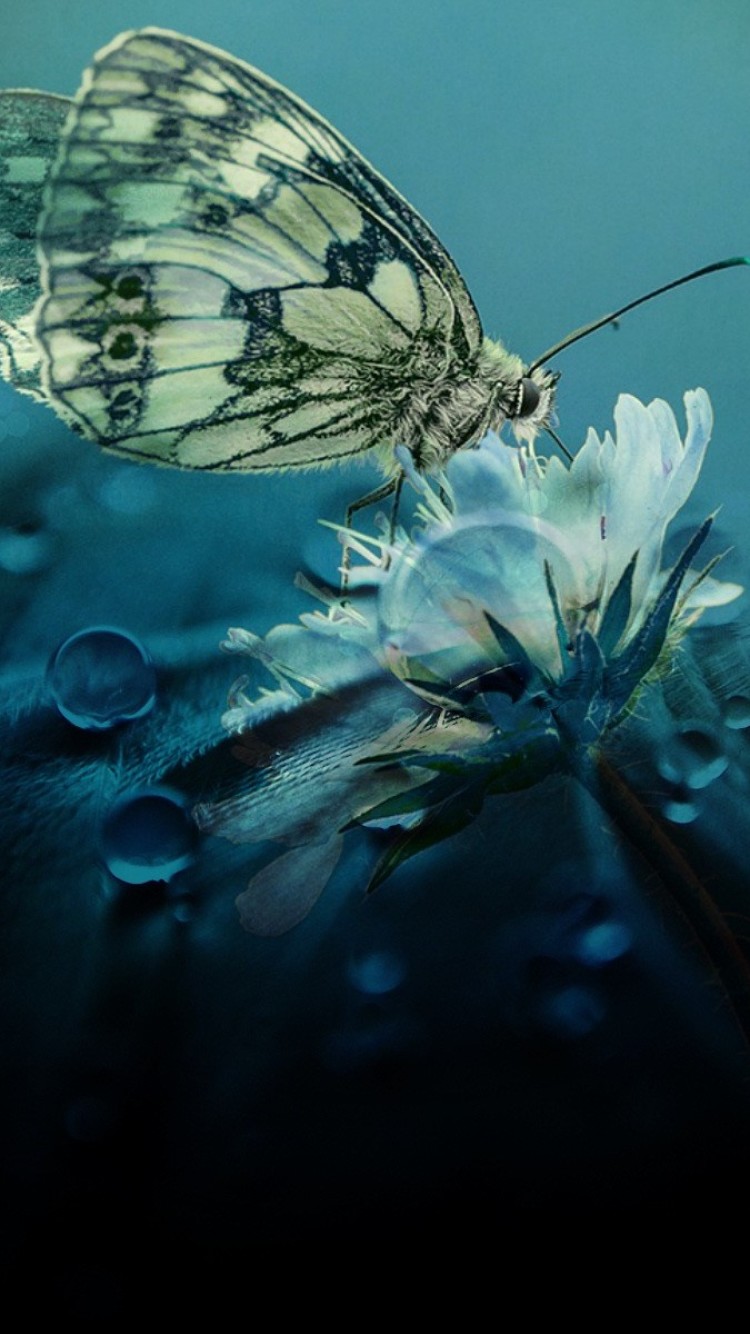 Beautiful Beautiful Nature Blue Wallpaper For Iphone - HD Wallpaper 