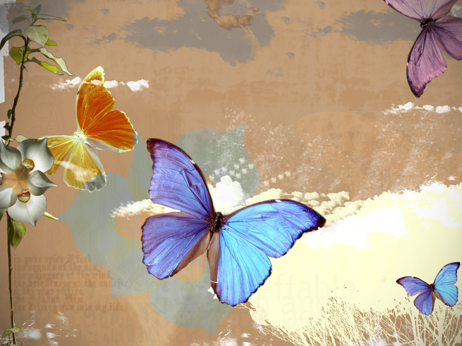 Desktop Wallpapers - Butterfly - HD Wallpaper 