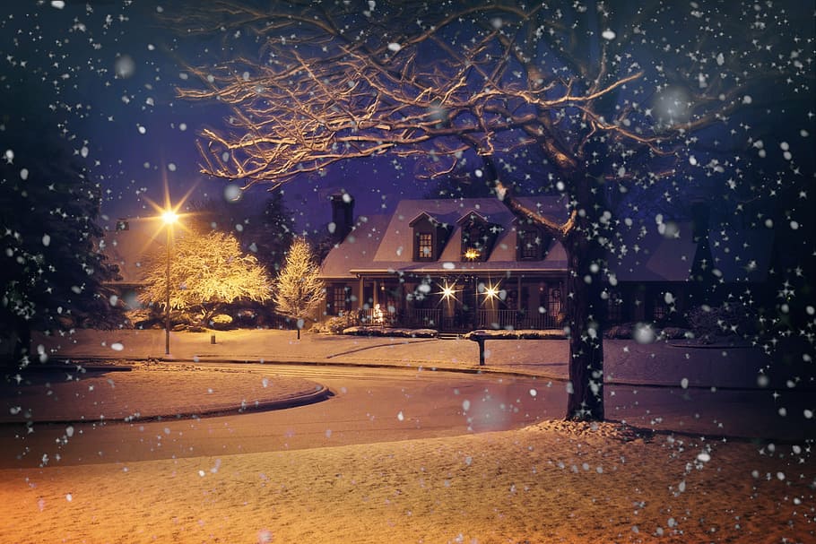 Brown Bare Tree And Brown House Painting, Midnight - Beautiful Winter Night - HD Wallpaper 