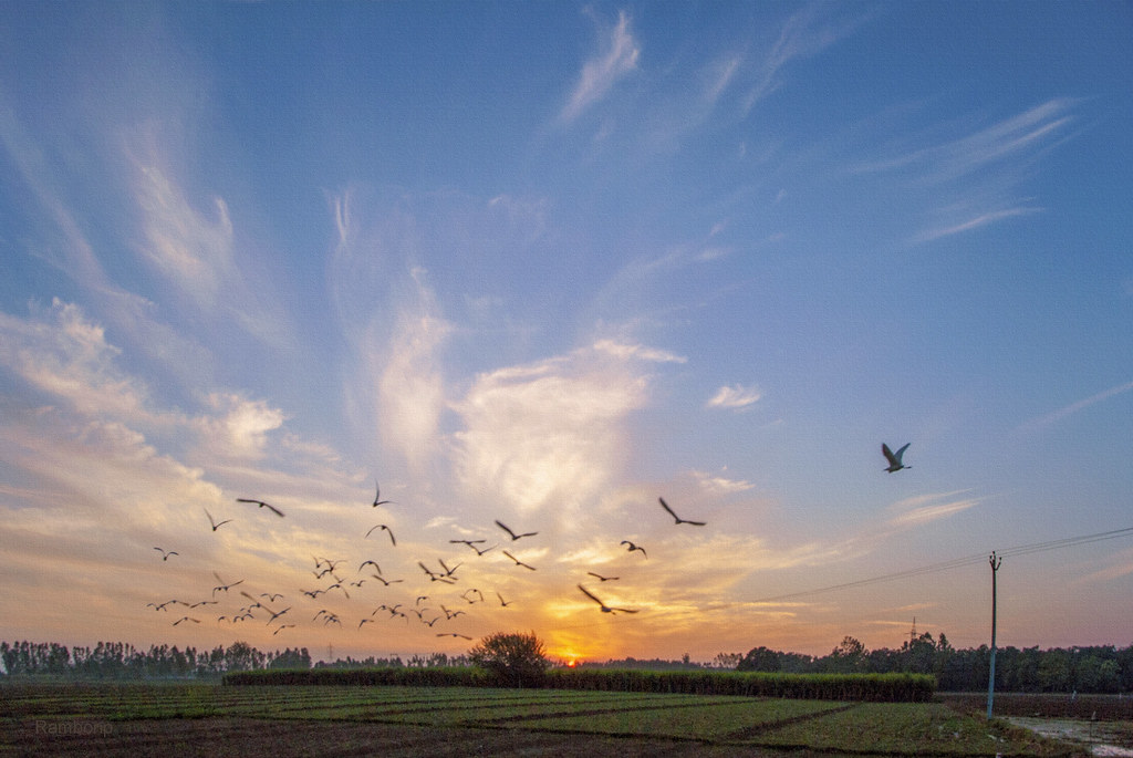 Sunset - HD Wallpaper 