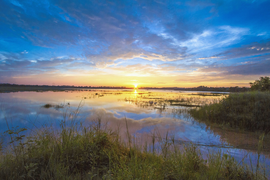 Freshwater Marsh - HD Wallpaper 