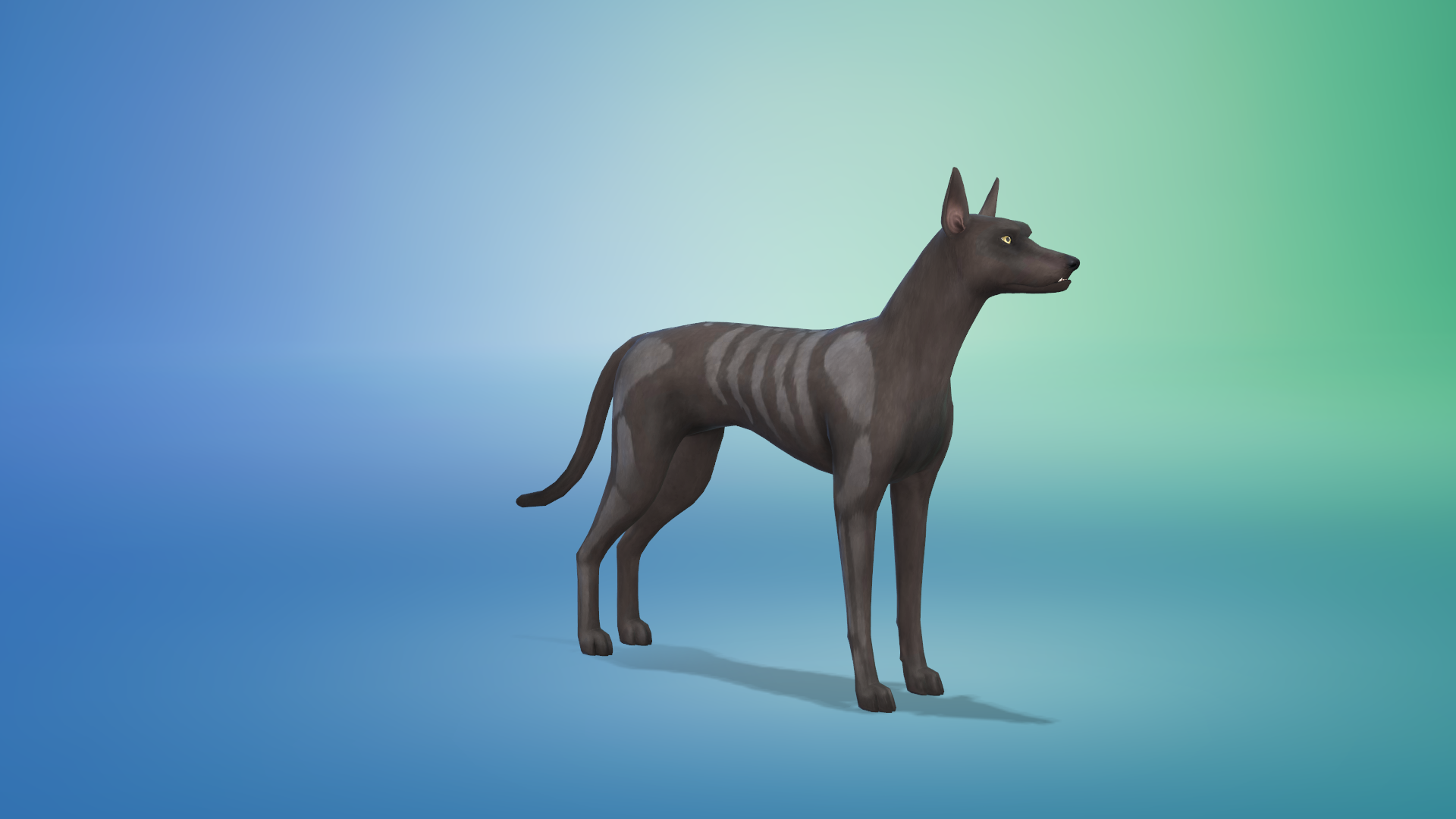 Sims 4 Vampire Dog - HD Wallpaper 