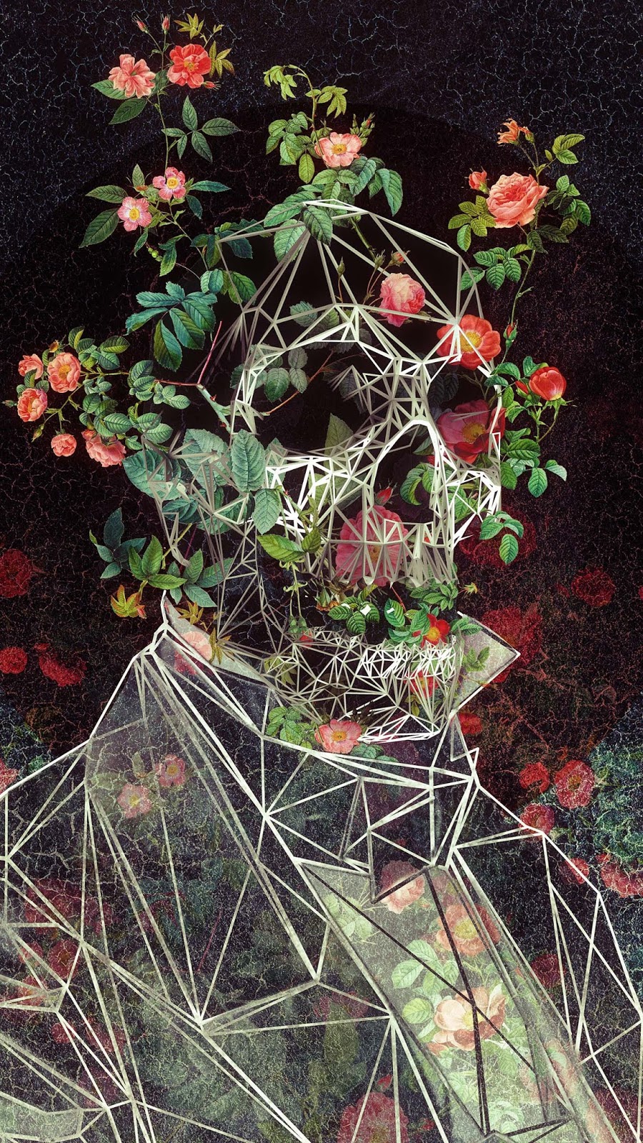 Mr Cage Mobile Wallpaper - Wallpaper - HD Wallpaper 